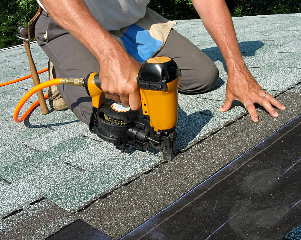 Roof Waterproofing Services in Lake Catherine, IL